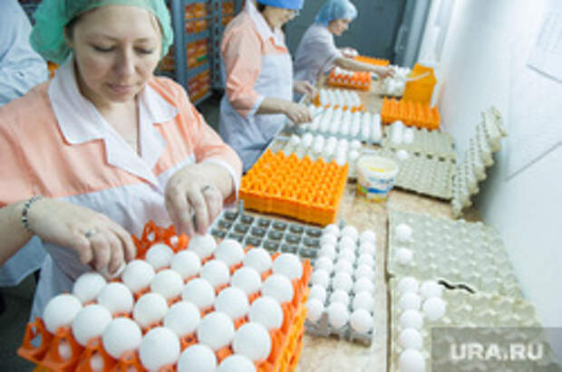 Заседание правительства СО в санатории