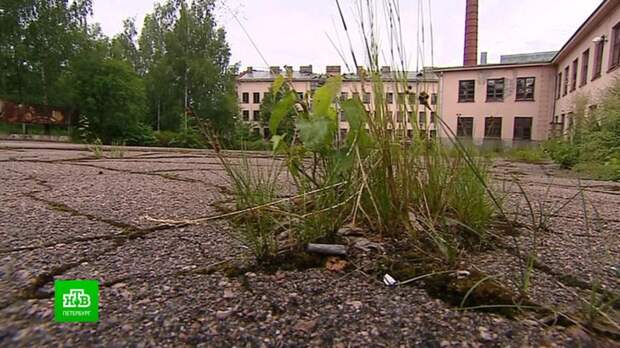 В Выборге разрушаются здания бывшего военного городка