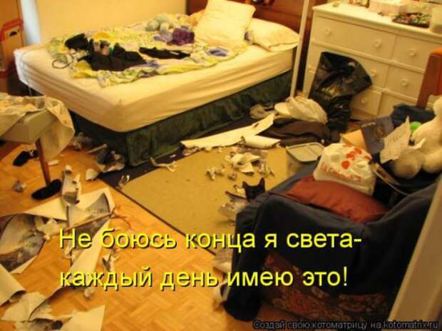 Котоматрицы(картинки с подписями)