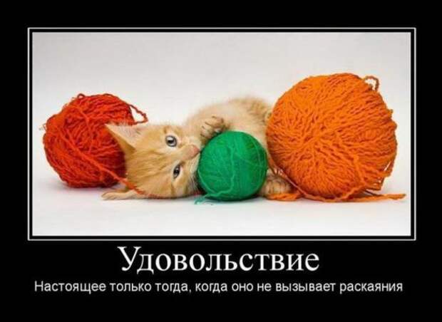Демотиваторы со смыслом 31/05/11