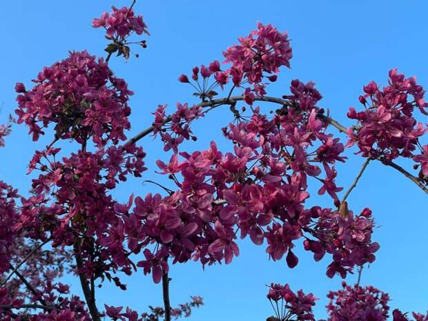 Прогноз погоды в Крыму на 25 апреля