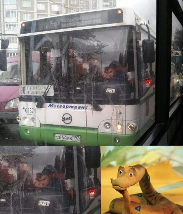 ПОДБОРКА ФОТОПРИКОЛОВ