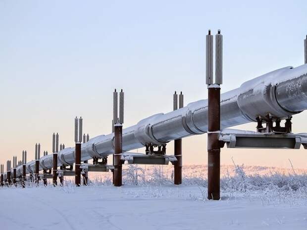 Названы сроки ввода в строй обеих ниток газопровода «Северный поток - 2»