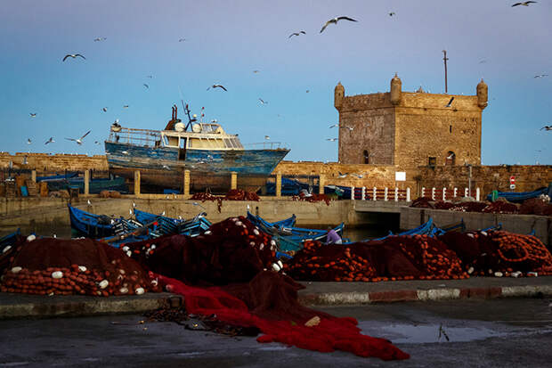 Золотое утро в порту Эссуэйры в Марокко