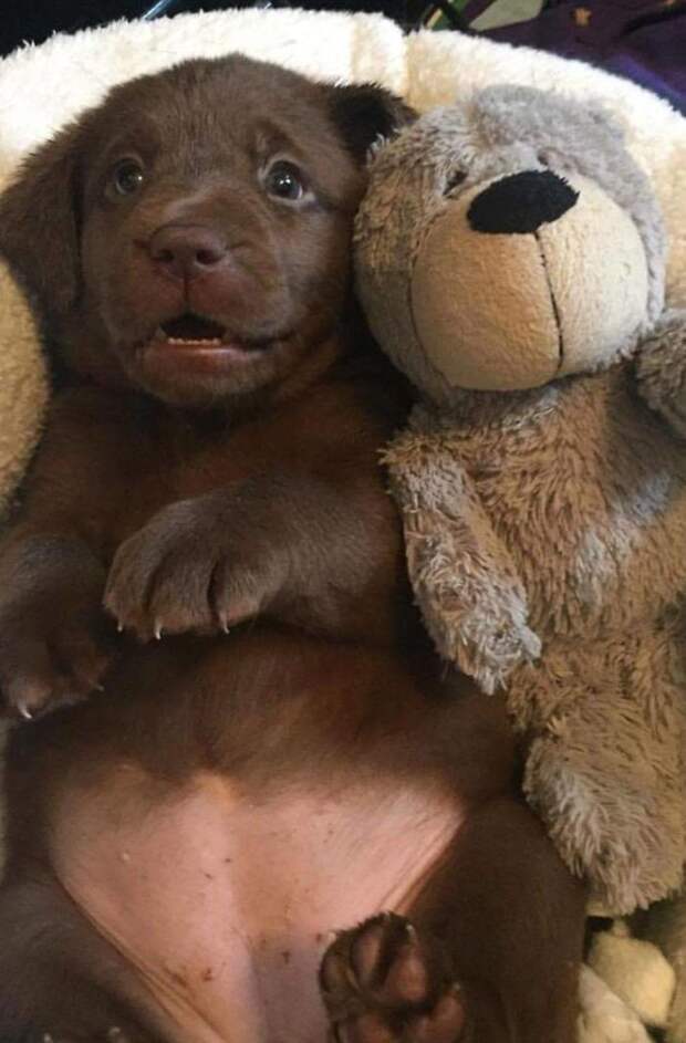 I'm Ready For My Tummy Tickles And Kisses