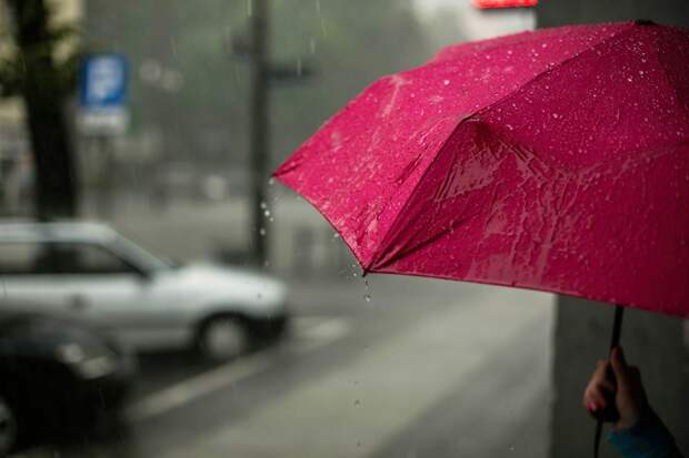 Не забудьте зонт: синоптик Колесов рассказал, когда в Петербурге пойдет дождь