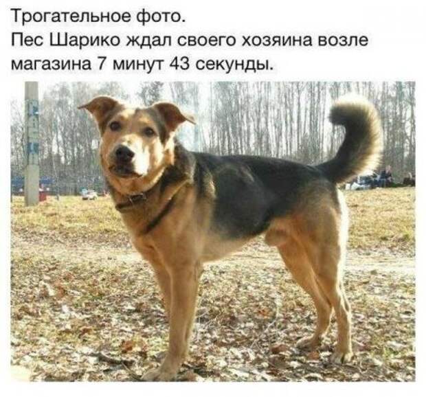 Воскресенье не убегай