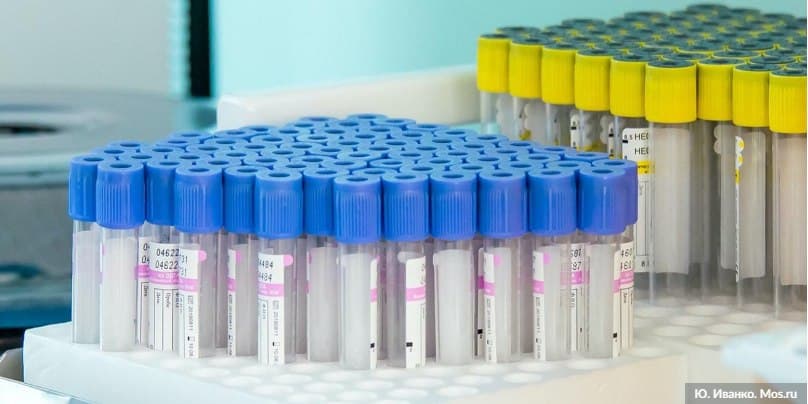 Система чекинов позволяет людям своевременно обращаться к врачам/Фото: Ю. Иванко mos.ru
