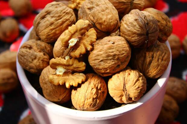 Ученый Бюттнер: фасоль и грецкие орехи повышают продолжительность жизни