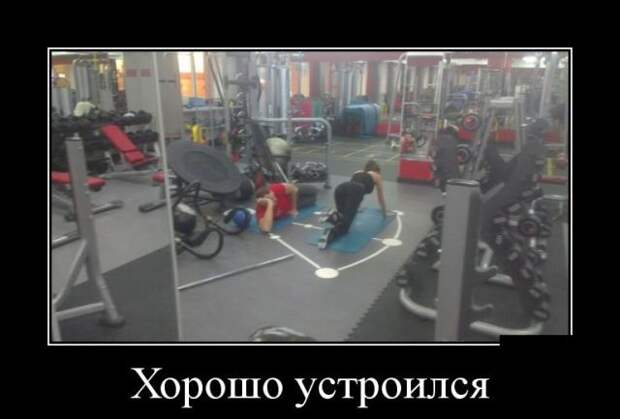 Демотиваторы (30 фото)
