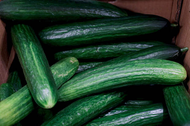 Российский бизнесмен придумал схему с бесплатным получением товара