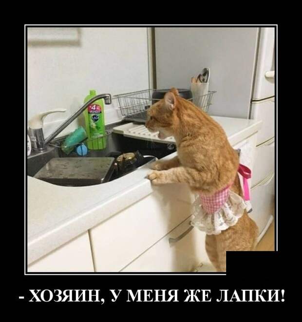 Демотиваторы (30 фото)