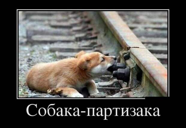 Сборник демотивационных приколов Сборник демотивационных приколов