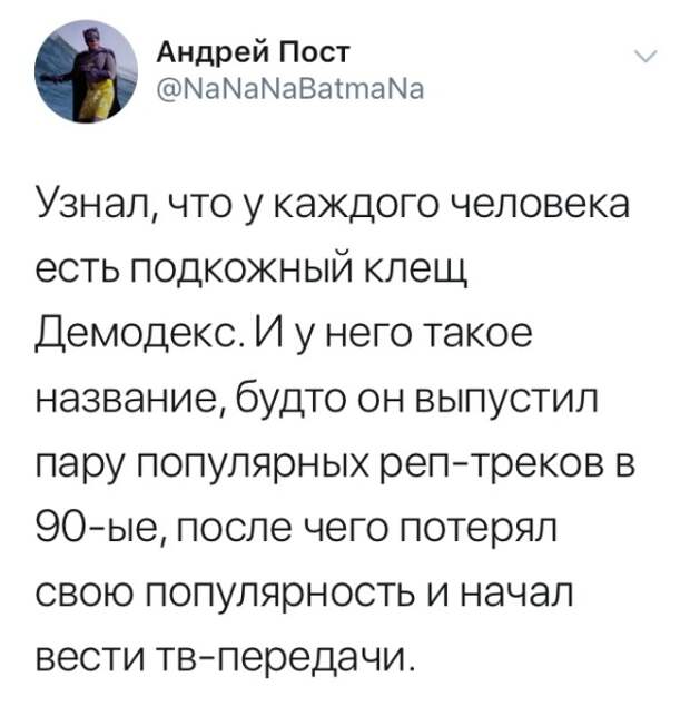 Подборка картинок. Дневной выпуск (20 фото)