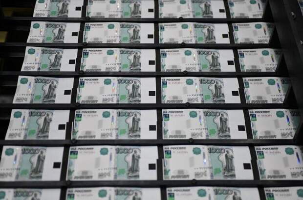 В России может появиться институт обязательных публичных платежей