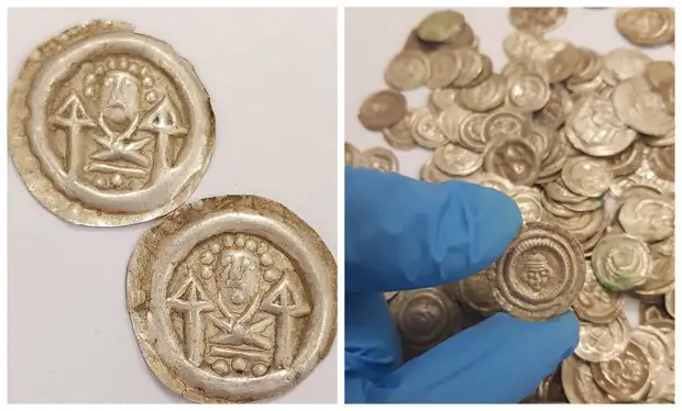 В польском Валбжихе собака откопала крупнейший клад за последние 100 лет