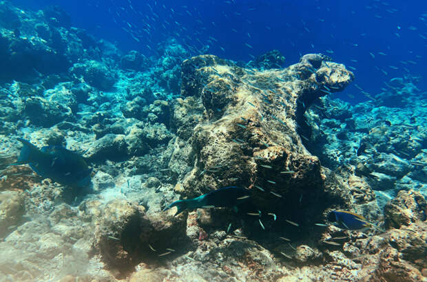 Затонувший город удивил ученых