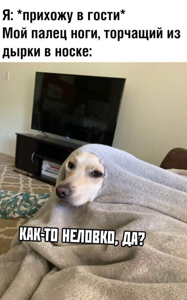 Мемы и картинки