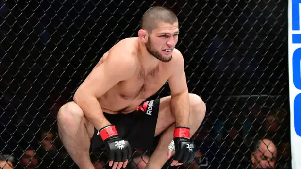 Финкельштейн призвал Нурмагомедова чаще воздерживаться от комментариев