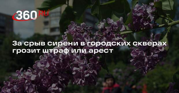 Роскачество: за срыв сирени в городских скверах грозит штраф или арест