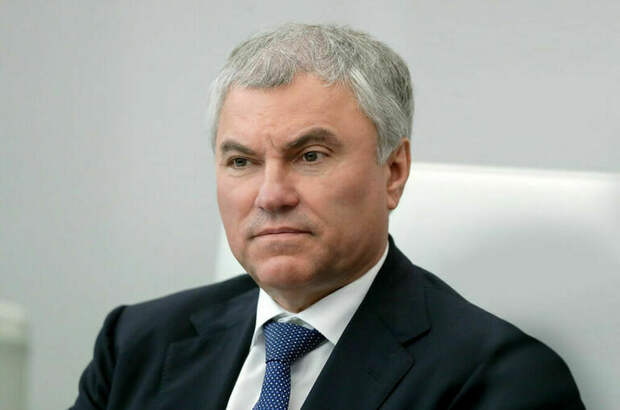 Володин пообещал законодательную поддержку Ростовской области