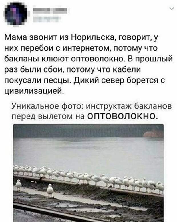 Кто о чем: занимательные мысли из сети instagram, смешно, смешные комментарии, соцсети, твиттер, юмор