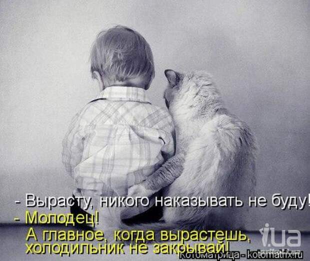 Симпатюли