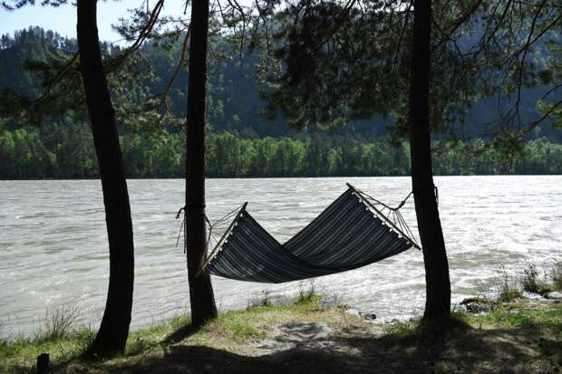 Онищенко: Россия — самая безопасная страна для отдыха, здесь нет инфекций