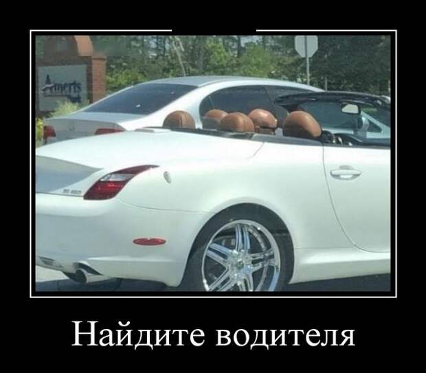 Демотиваторы (30 фото)