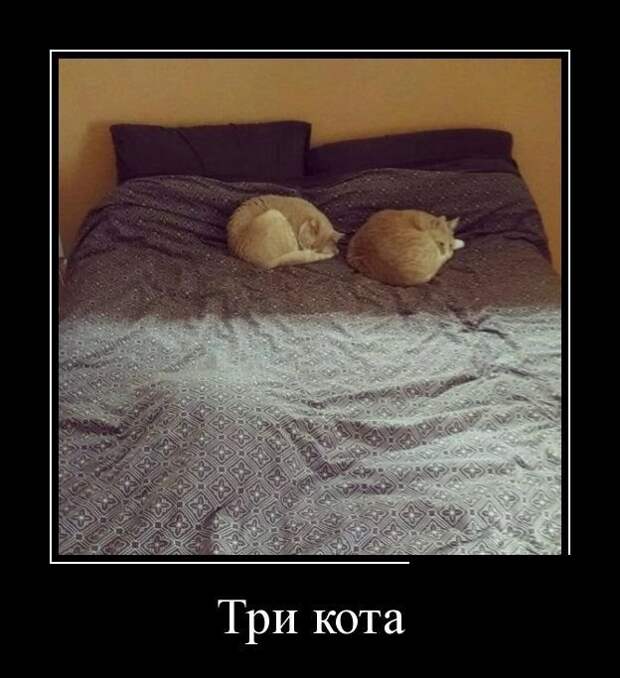 Новые демотиваторы на среду Новые демотиваторы на среду