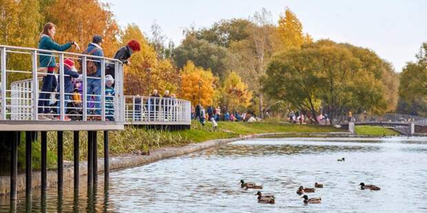 Горожане могут оценить благоустройство парков на «Активном гражданине». Фото: mos.ru