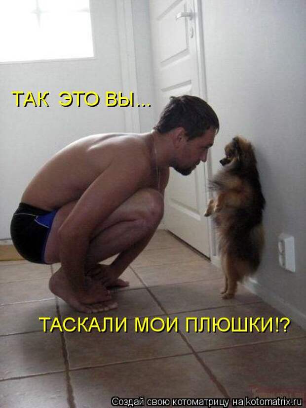ТАК ЭТО ВЫ...  ТАСКАЛИ МОИ ПЛЮШКИ!?