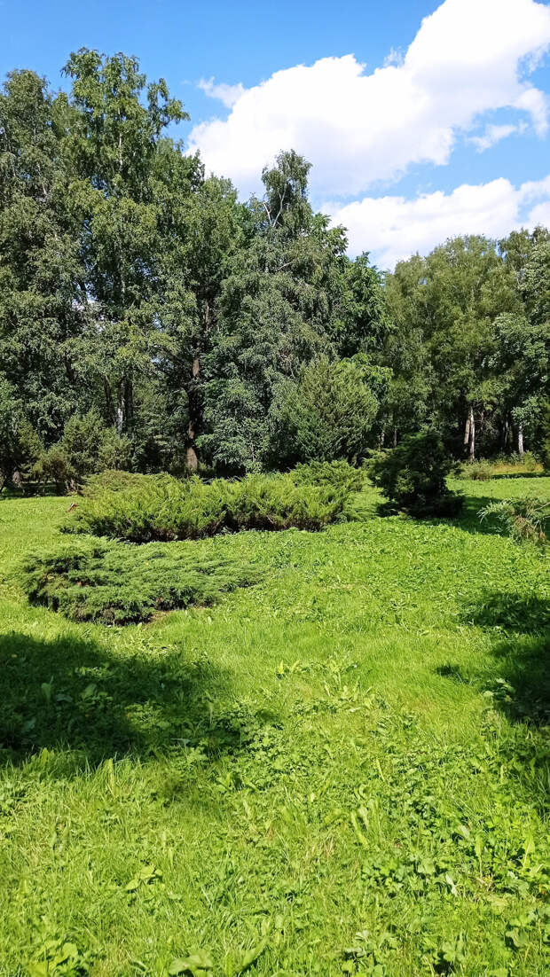 Прогулка в московский Ботанический сад