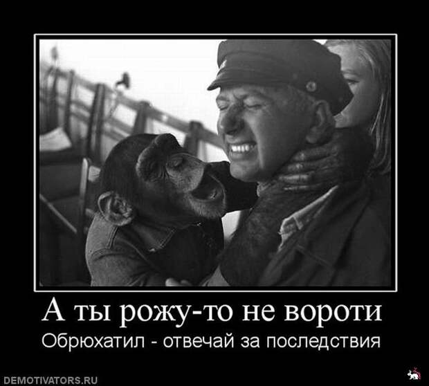 Демотиваторы и мотиваторы. Демки понедельник. Демотиваторы и мотиваторы. Демки понедельник.
