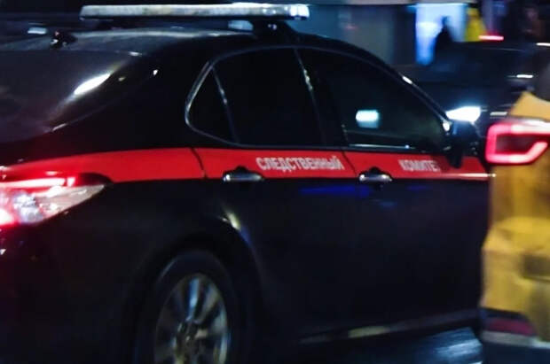 Женщину и ребенка обнаружили мертвыми в овраге в Оренбургской области