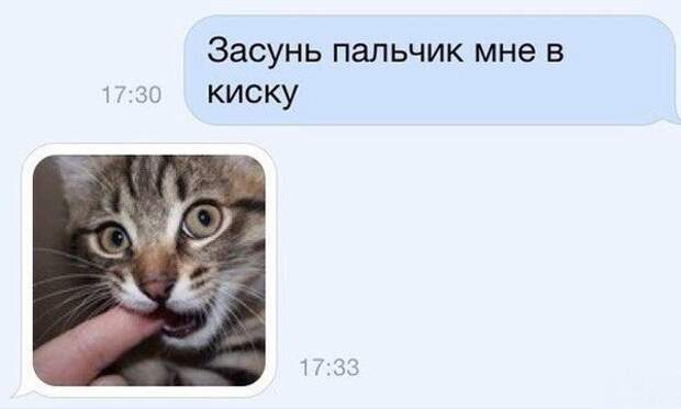 Картинки со смешными подписями