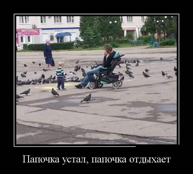 Демотиваторы №860 (30 фото)