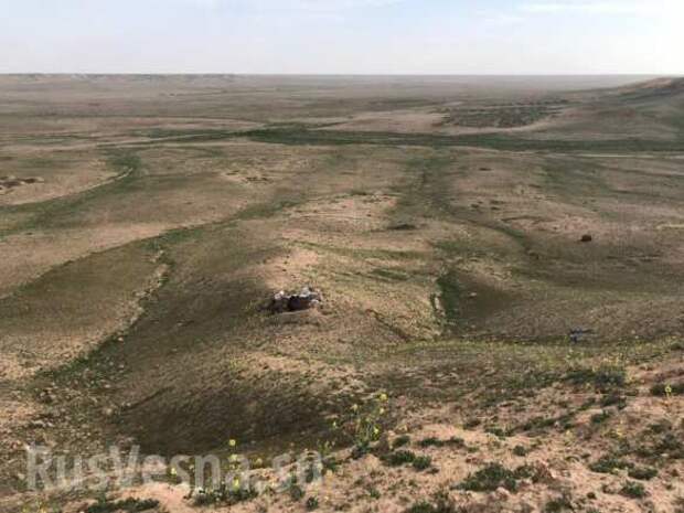 Сирия: Охота на крыс — в «зелёной пустыне» выжигают выживших боевиков (+ФОТО, ВИДЕО) | Русская весна