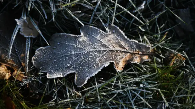 Спасатели предупредили о похолодании до -10 °С в Ленобласти