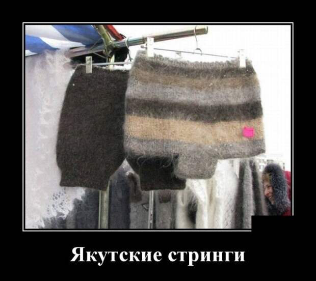 Демотиваторы (30 фото)