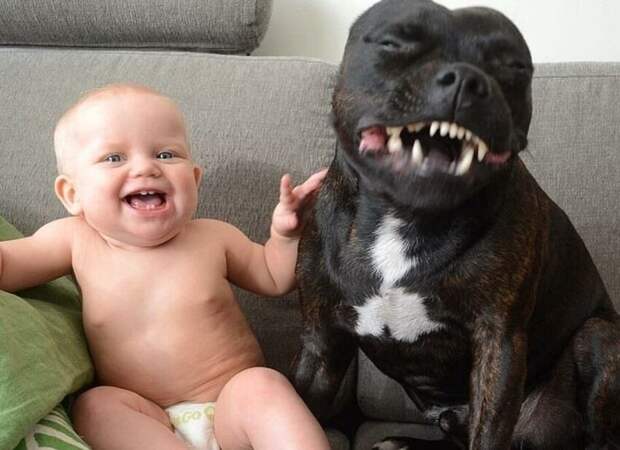 20 доказательств того, что ни один ребёнок не должен расти без питомца