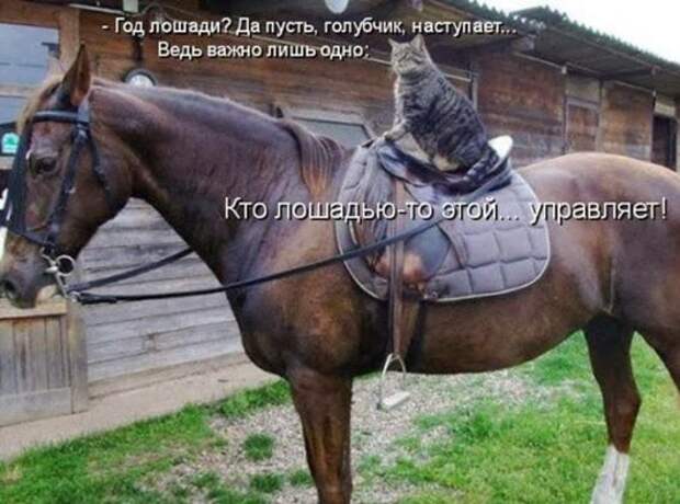 f77506a1dfd37916250d2690a03_prev