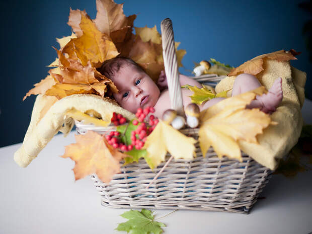 2795685_4394848_large (700x525, 291Kb)