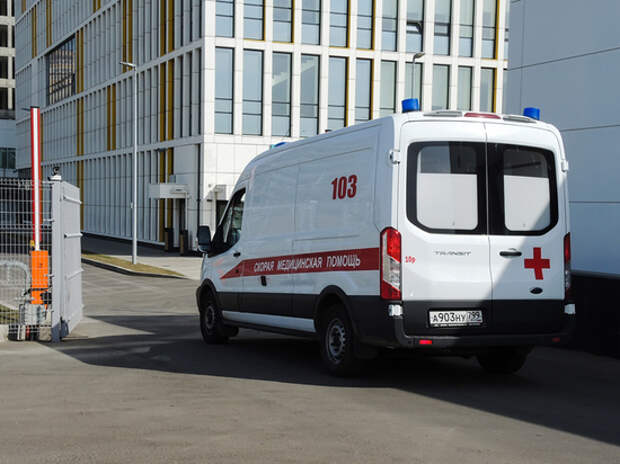 Вторая волна пандемии может случиться уже летом Вторая волна пандемии может случиться уже летом