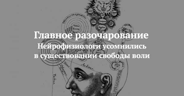 Главное разочарование. Нейрофизиологи усомнились в существовании свободы воли
