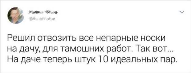 20+ слегка абсурдных ситуаций, которые могли произойти только на даче