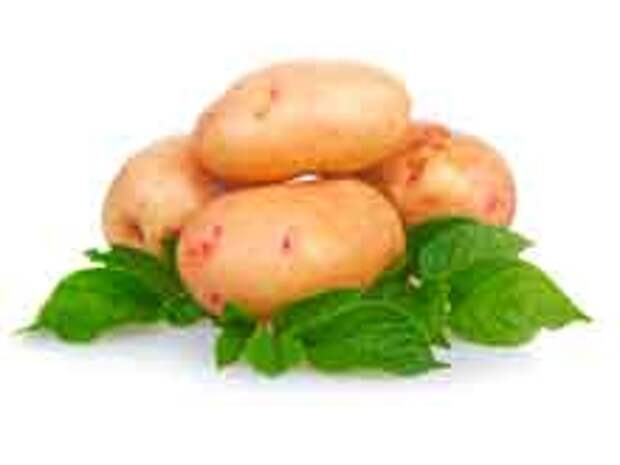 Лечение бородавок картофелем