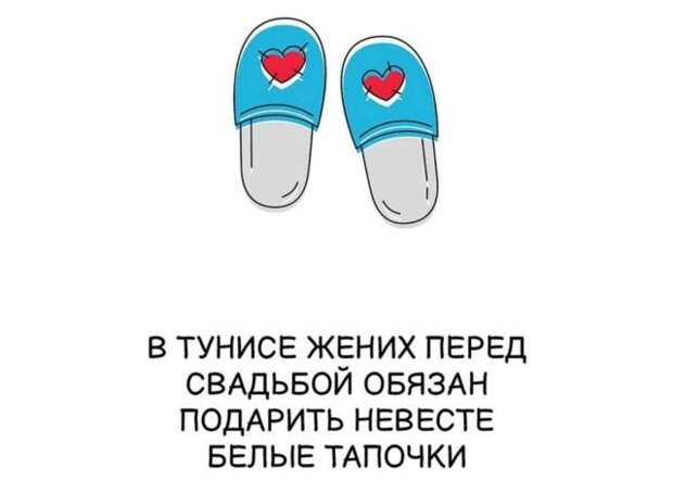 Короткие интересные факты на все случаи жизни
