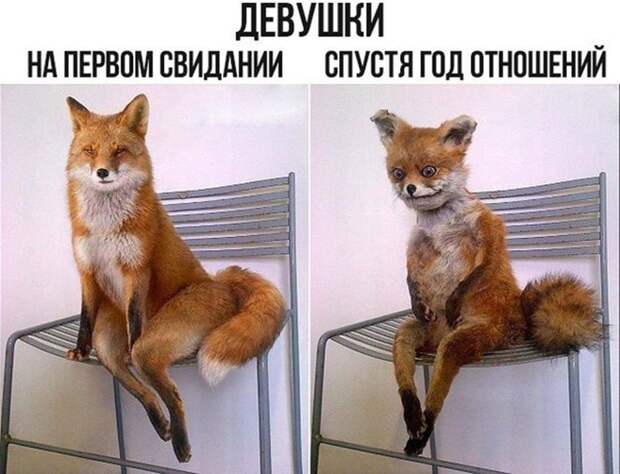 Смешная галерея фотоприколов # 134