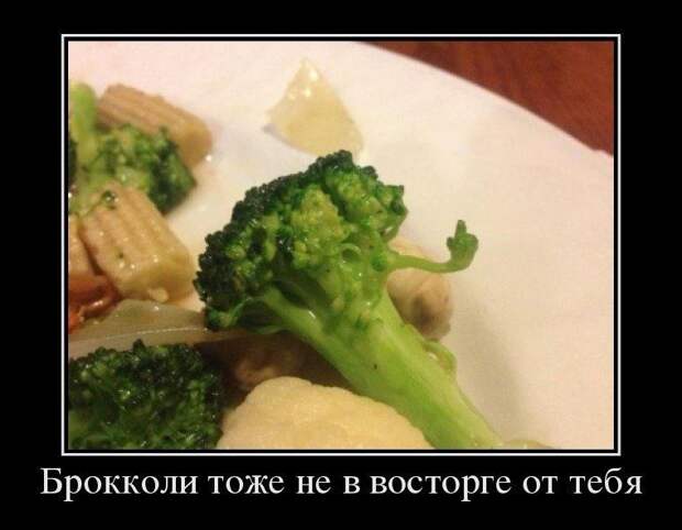 Отличный сборник прикольных демотиваторов (14 шт)